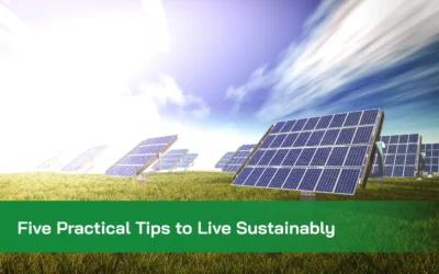 Five Practical Tips to Live Sustainably