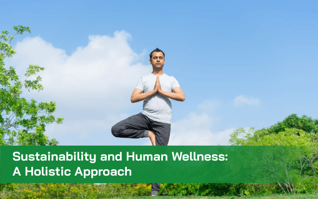 Sustainability and Human Wellness: A Holistic Approach