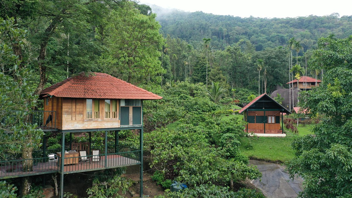 Eco-friendly Practices in Hotel Industry Verdant Hotel, Kerala